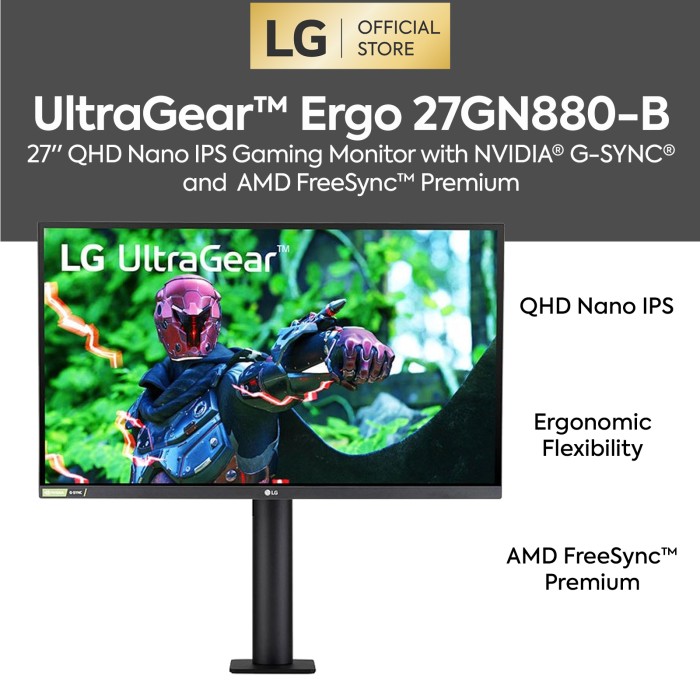 LG Ultra Gear Nano IPS Monitor 27N880-B